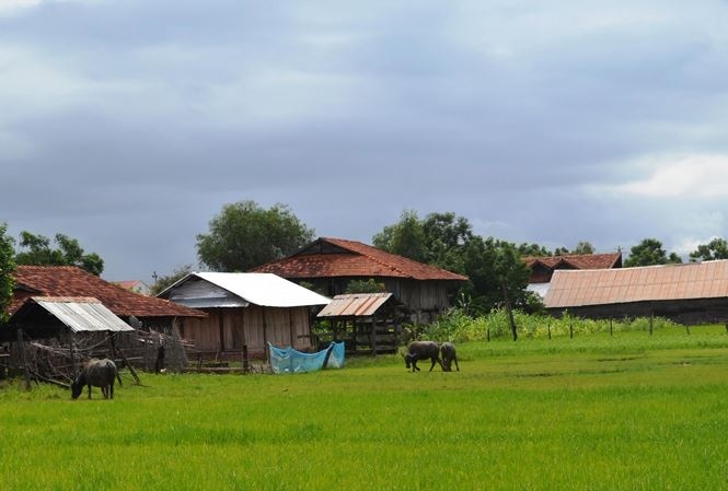 Đa thê ở vùng biên da the o vung bien