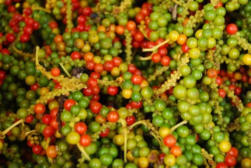 Đến Phú Quốc, không thể không mua thứ này mang về làm quà! den phu quoc khong the khong mua thu nay mang ve lam qua