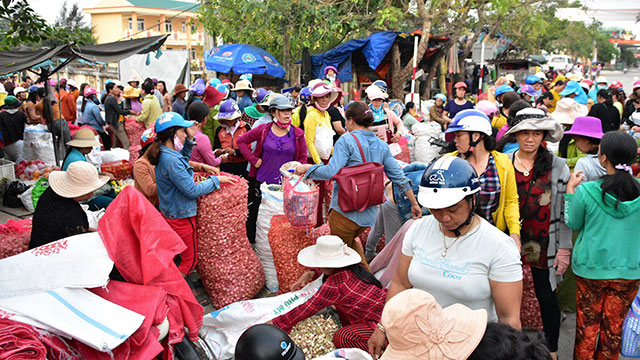 Mùa này Lý Sơn mua nay ly son