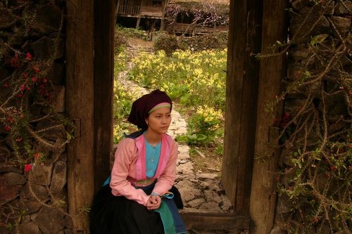 Lên Hà Giang, nhất định phải đến "nhà của Pao" len ha giang nhat dinh phai den nha cua pao