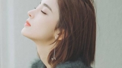 tu vi hom nay 184 ve cong viec 12 con giap tuoi suu mat phuong huong
