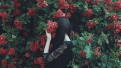 tu vi hom nay 234 ve tai chinh cua 12 con giap tuoi ngo thu bang chi