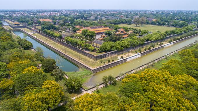 Những loài hoa khoe sắc trong nắng hạ ở Huế nhung loai hoa khoe sac trong nang ha o hue
