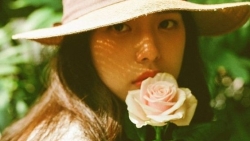 tu vi hom nay 95 cua 12 con giap tuoi mao nen tinh ke lam an