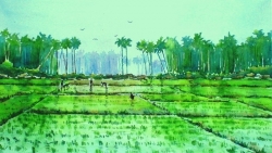 quay nguoc thoi gian ve tham lang tranh dong ho nam 1992