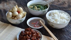 giua thi thanh nho lam ngo que