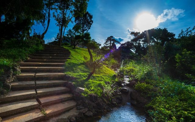 Khu du lịch Lá Phong Đà Lạt nằm ở đường nào? khu du lich la phong da lat nam o duong nao
