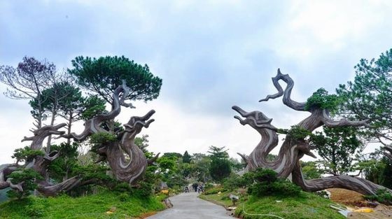 Khu du lịch Lá Phong Đà Lạt nằm ở đường nào? khu du lich la phong da lat nam o duong nao