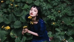 tu vi chiem tinh ngay 57 ve cong viec cua 12 con giap tuoi mao phan van