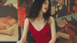 tu vi chiem tinh ngay 107 ve tinh yeu cua 12 con giap tuoi than de cao canh giac
