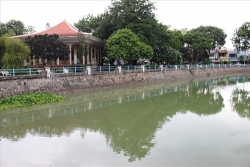 tay nguyen vao mua han nghe dao gieng thue len huong