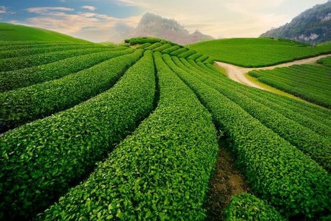 Tháng 8, ngoài Hà Nội thì đi chơi ở đâu là đẹp nhất miền Bắc? thang 8 ngoai ha noi thi di choi o dau la dep nhat mien bac