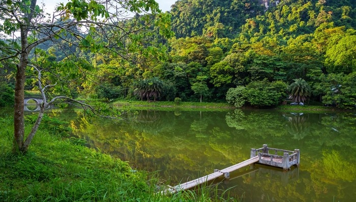 Tháng 8: Nếu đã chán xuống biển, bạn có thể chọn lên rừng để ngắm cảnh
