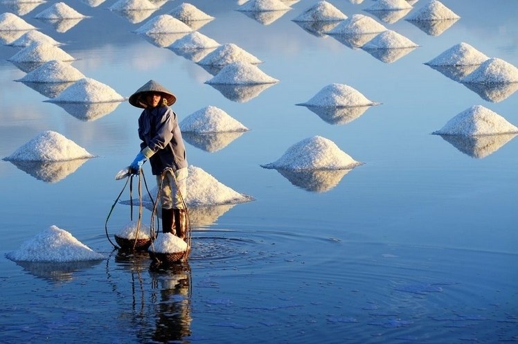 Du lịch Quảng Ngãi nên đi đâu? du lich quang ngai nen di dau