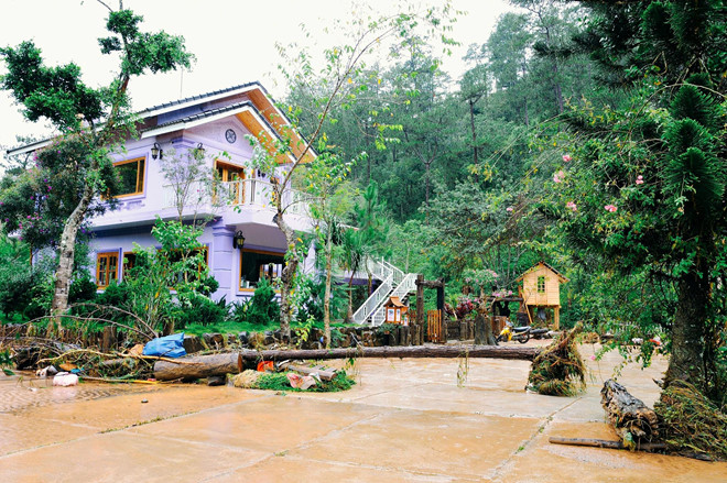Vẻ đẹp của Ma Rừng Lữ Quán trước khi tan hoang sau lũ quét ve dep cua ma rung lu quan truoc khi tan hoang sau lu quet