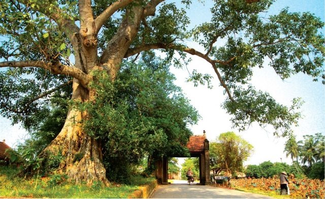 Nghỉ lễ 2/9: đi chơi đâu gần Hà Nội vừa vắng vẻ, vừa rẻ vừa đẹp? nghi le 29 di choi dau gan ha noi vua vang ve vua re vua dep
