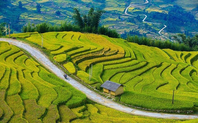 Mùa thu 2019 lên Tây Bắc trải nghiệm "mùa vàng" đẹp như tranh vẽ mua thu 2019 len tay bac trai nghiem mua vang dep nhu tranh ve