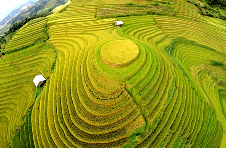 Mùa thu 2019 lên Tây Bắc trải nghiệm "mùa vàng" đẹp như tranh vẽ mua thu 2019 len tay bac trai nghiem mua vang dep nhu tranh ve