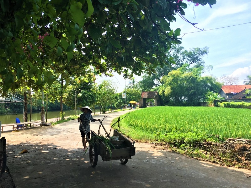 Được công nhận là điểm du lịch của Hà Nội, làng cổ Đường Lâm có gì đặc biệt? tro thanh diem du lich lang co duong lam co gi dac biet