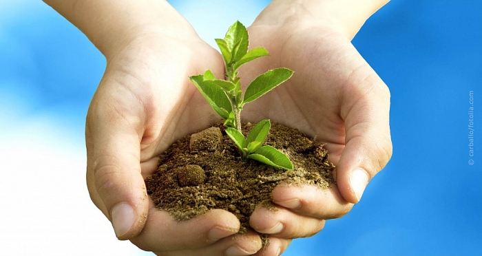 Bảo hiểm – Ngành phát triển kinh doanh tiềm năng của kinh tế Việt Nam bao hiem nganh phat trien kinh doanh tiem nang cua kinh te viet nam