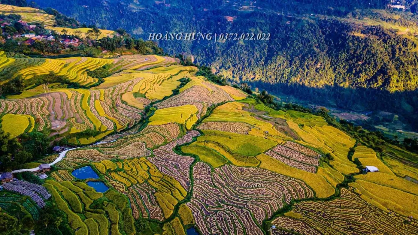 ມາ​ຮົ່ງ​ທ້າຍ, ຊົມ “ລວດ​ລາຍ​ຂອງ​ຕົ້ນເຂົ້າ” ທີ່​ມີ​ຄວາມ​ງາມ​ດຶງ​ດູດ​ໃຈ