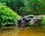 ປະເທດລາວ ຫາລ ວຽກງານຄ ມຄອງໄພພ ບ ດ ແລະ ກຽມຄວາມພ ອມ ຕອບໂຕ ໄພພ ບ ດ ໃນທ ວປະເທດ