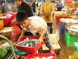 ລາວ ເຂດເສດຖະກ ດພ ເສດເກາະສ ພ ນດອນ ດ ງດ ດນ ກທ ອງທ ຽວ ແລະ ສ າງວຽກເຮ ດງານທຳໃຫ ແກ ປະຊາຊ ນທ ອງຖ ນ
