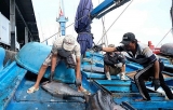 ຫວຽດ​ນາມ​ ເຂົ້າ​ຮ່ວມ​ຮອບ​ເຈ​ລະ​ຈາ​ກ່ຽວ​ກັບ​ການ​ໜູນ​ຊ່ວຍ ສິນ​ໃນ​ນ້ຳ​ຂອງ WTO