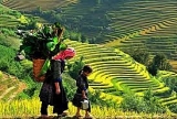 ໃນປີ 2022, ລາວກາຍ ສູ້ຊົນຕ້ອນຮັບນັກທ່ອງທ່ຽວ ກວ່າ 4 ລ້ານເທື່ອຄົນ
