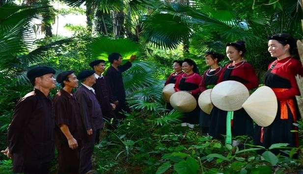 ສິລະປະຂັບຊິ່ງກາຢູ່ແຂວງ ກວ໋າງນິງ ສິລະປະຂັບຊິ່ງກາຢູ່ແຂວງ ກວ໋າງນິງ