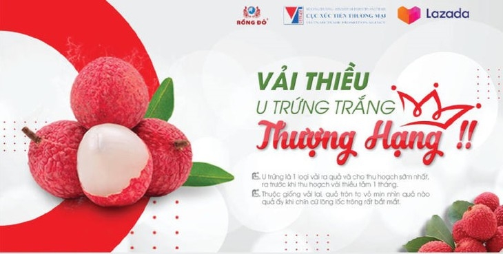 ຜະລິດຕະພັນກະເສດຫວຽດນາມ ໄດ້ວາງຂາຍໃນເວັບໄຊການຄ້າເອເລັກໂຕນິກ ຜະລິດຕະພັນກະເສດຫວຽດນາມ ໄດ້ວາງຂາຍໃນເວັບໄຊການຄ້າເອເລັກໂຕນິກ