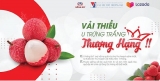ຜະລິດຕະພັນກະເສດຫວຽດນາມ ໄດ້ວາງຂາຍໃນເວັບໄຊການຄ້າເອເລັກໂຕນິກ