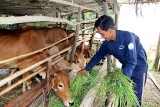 ອົງການ UNDP ສະແດງຄວາມຊົມເຊີຍ ຫວຽດນາມ ໃນການເຜີຍແຜ່ສະຖິຕິກ່ຽວກັບຄວາມທຸກຍາກຈາກຫຼາຍດ້ານ
