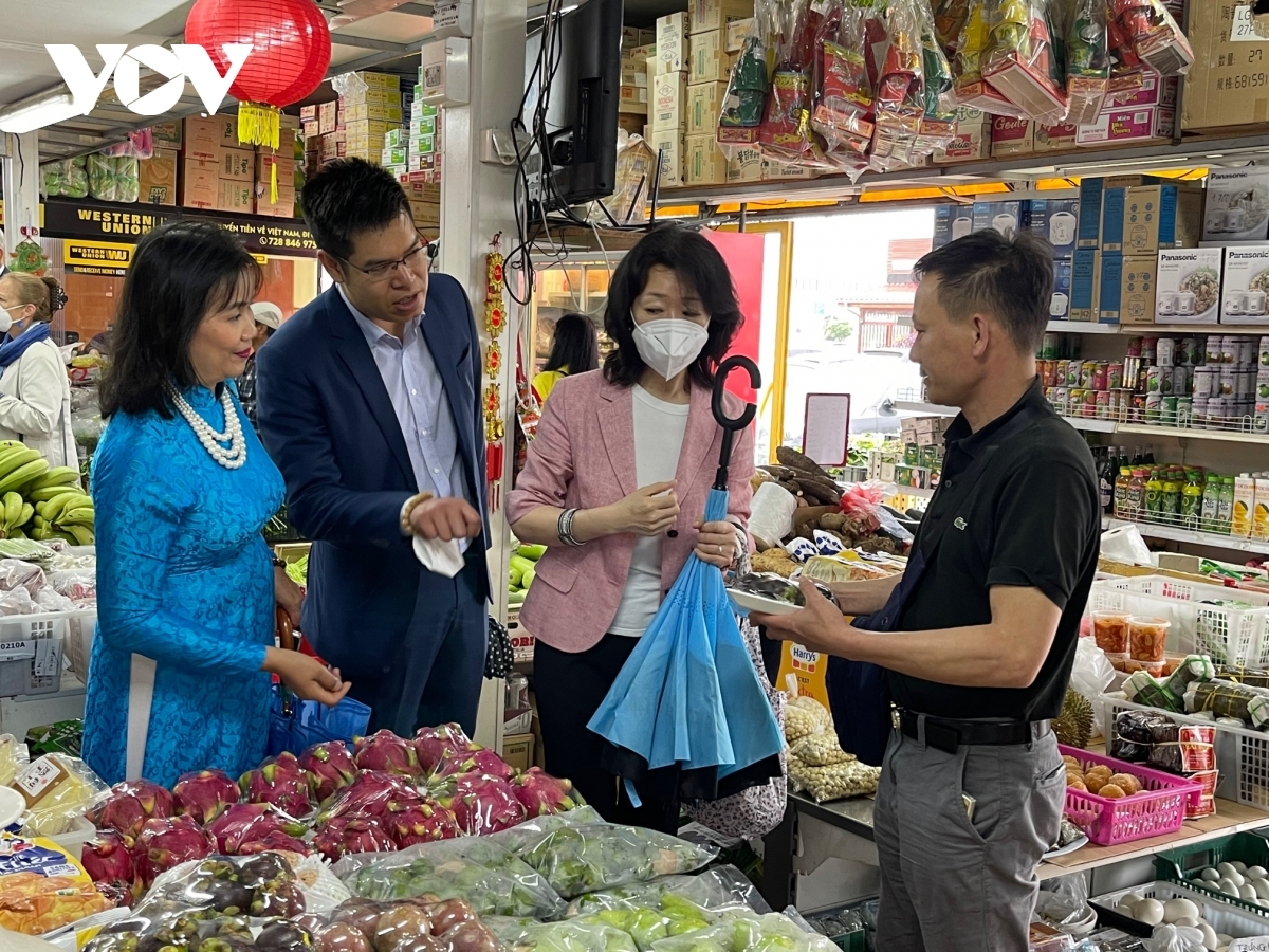 ໂຄສະນາເຜີຍແຜ່ວັດທະນະທຳຫວຽດນາມ ເຖິງບັນດາອົງການການຕ່າງປະເທດ ຢູ່ສາທາລະນະລັດເຊັກ