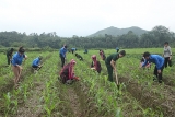 ສ້າງຄວາມເຂັ້ມແຂງພູມປັນຍາໜຸ່ມອາສາສະໝັກ ໃນເຂດເສດຖະກິດ - ປ້ອງກັນຊາດ