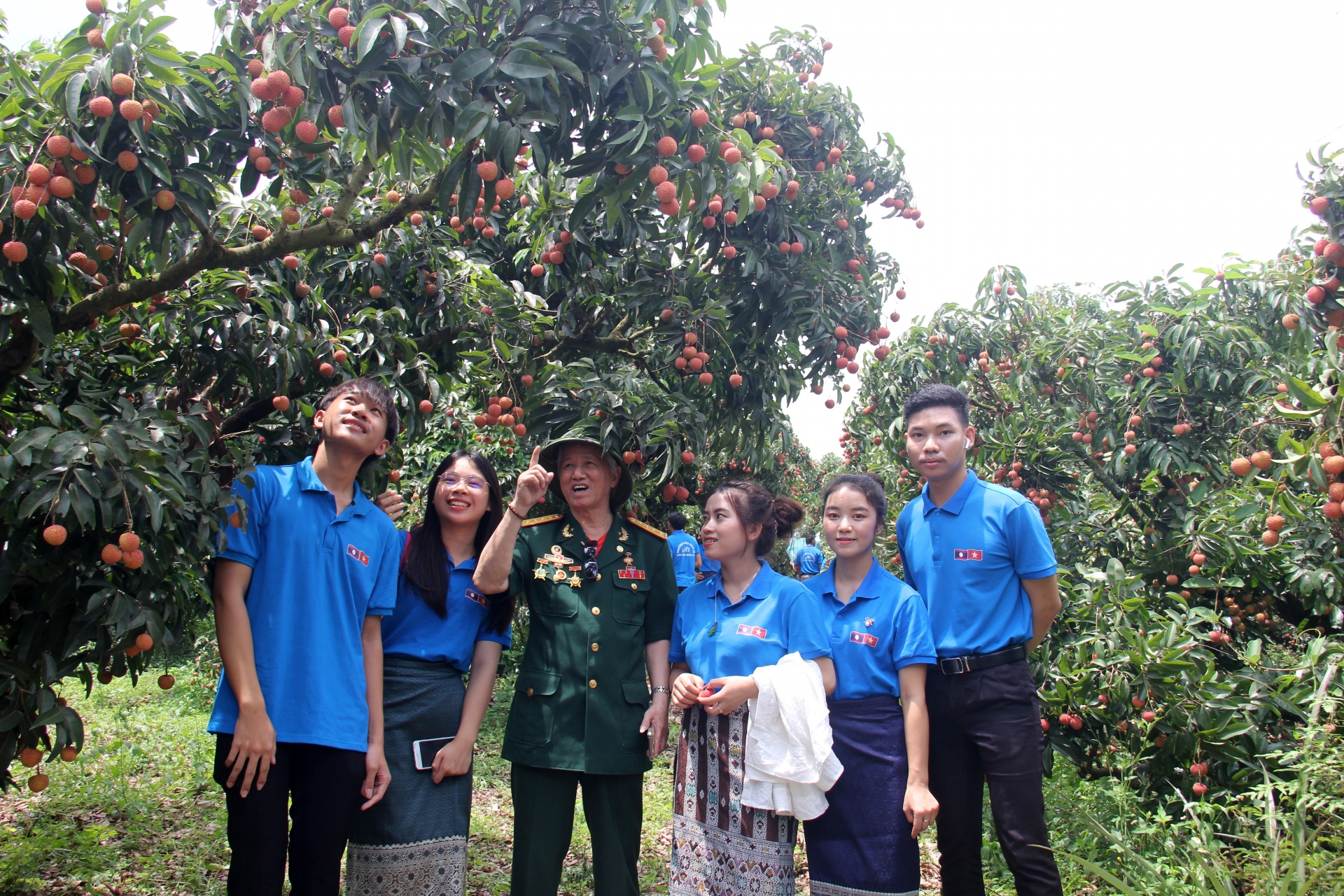 ນັກ​ສຶກ​ສາ​ລາວ​ເມົາ​ມົວ​ກັບ​ກິ່ນ​ຫອມ​ຂອງ​ໝາກ​ລີ້ນ​ຈີ່​ຫວຽດ​ນາມ