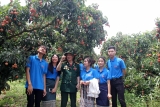 ນັກ​ສຶກ​ສາ​ລາວ​ເມົາ​ມົວ​ກັບ​ກິ່ນ​ຫອມ​ຂອງ​ໝາກ​ລີ້ນ​ຈີ່​ຫວຽດ​ນາມ