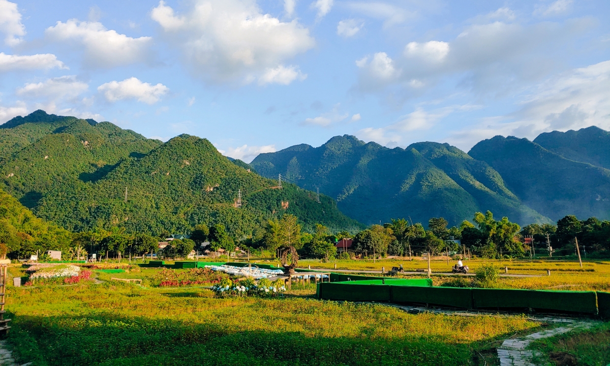 ຄົ້ນ​ພົບ​ລະ​ດູ​ສີເຫຼືອງ ​ແລະ ໄປລ່າ​ເມກ​ຢູ່ຮວ່າບິ່ງ