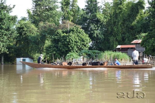 ບັນດາວິສາຫະກິດລາວ ໄດ້ສືບຕໍ່ຮ່ວມແຮງຮ່ວມໃຈສະໜັບສະໜູນ ປະຊາຊົນທີ່ຖືກຜົນກະທົບຈາກໄພນໍ້າຖ້ວມ ບ ນດາວ ສາຫະກ ດລາວ ໄດ ສ ບຕ ຮ ວມແຮງຮ ວມໃຈສະໜ ບສະໜ ນ ປະຊາຊ ນທ ຖ ກຜ ນກະທ ບຈາກໄພນ າຖ ວມ