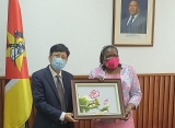 ຫວຽດນາມ ໄດ ເຂ າຮ ວມກອງປະຊ ມຄະນະກຳມະການປະຈຳ icapp ຄ ງທ 34
