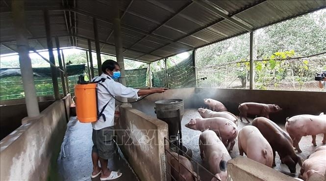 IFC ສະໜັບສະໜູນຫວຽດນາມ ບັນດາມາດຕະການແກ້ໄຂເພື່ອປ້ອງກັນ ແລະ ຄວບຄຸມພະຍາດ ອະຫິວາໝູອາຟຣິກາ IFC ສະໜັບສະໜູນຫວຽດນາມ ບັນດາມາດຕະການແກ້ໄຂເພື່ອປ້ອງກັນ ແລະ ຄວບຄຸມພະຍາດ ອະຫິວາໝູອາຟຣິກາ