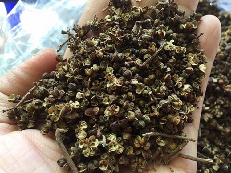 100 đặc sản Việt Nam: tổng hợp 3 món "nặng mùi" nhưng đầy hấp dẫn của vùng cao Tây Bắc 100 dac san viet nam tong hop 3 mon nang mui nhung day hap dan cua vung cao tay bac