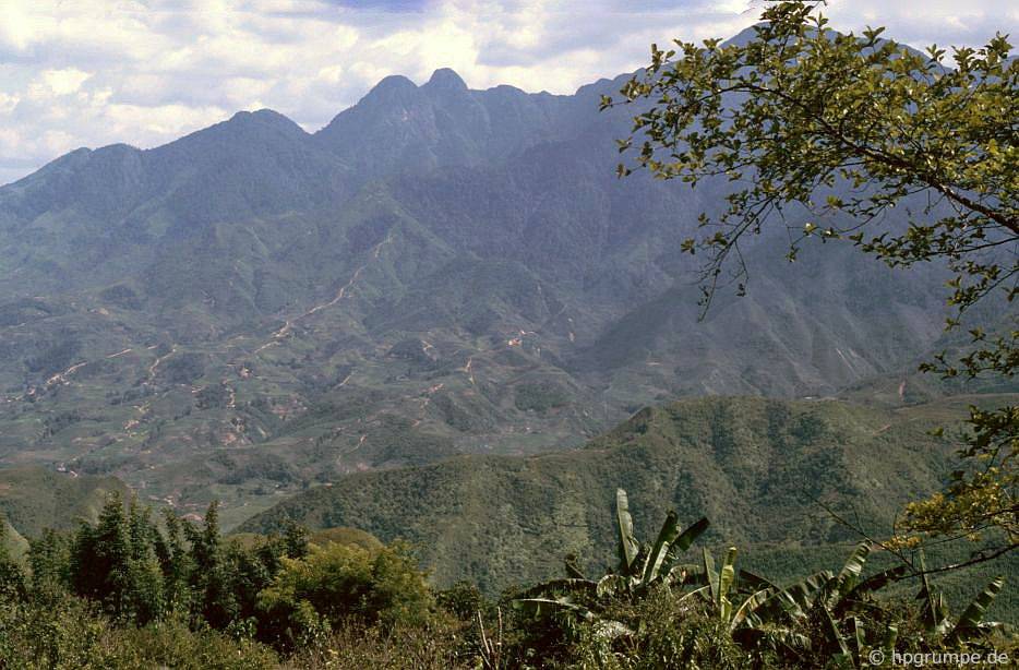 chum anh phien cho sapa nam 1992 trong anh cua du khach nuoc ngoai