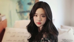 chiem tinh ngay 161 ve cong viec cua 12 con giap tuoi dan hoc cach quan li