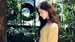chiem tinh ngay 161 ve cong viec cua 12 con giap tuoi dan hoc cach quan li