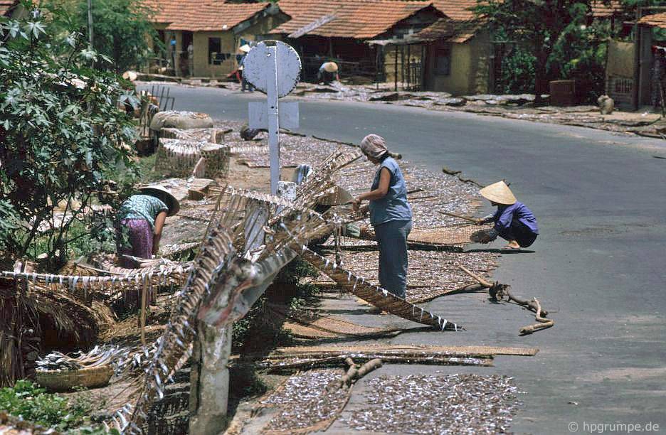Chùm ảnh màu "cực độc" về xứ "hoa vàng cỏ xanh" Phú Yên đẹp lạ lùng thập niên 90 chum anh mau cuc doc ve xu hoa vang co xanh phu yen dep la lung thap nien 90