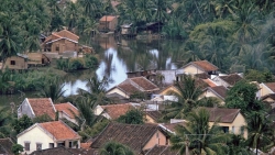 nhip song hoi ha nhon nhip o quang ninh nam 1994 1995