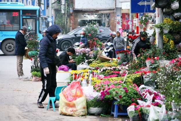 Chợ hoa Hà Nội vẫn nhộn nhịp, tấp nập kẻ bán người mua chơi Tết cho hoa ha noi van nhon nhip tap nap ke ban nguoi mua choi tet