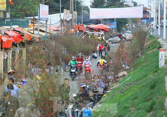 Chợ hoa Hà Nội vẫn nhộn nhịp, tấp nập kẻ bán người mua chơi Tết cho hoa ha noi van nhon nhip tap nap ke ban nguoi mua choi tet