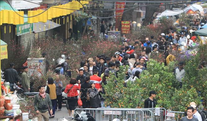 Chợ hoa Hà Nội vẫn nhộn nhịp, tấp nập kẻ bán người mua chơi Tết cho hoa ha noi van nhon nhip tap nap ke ban nguoi mua choi tet
